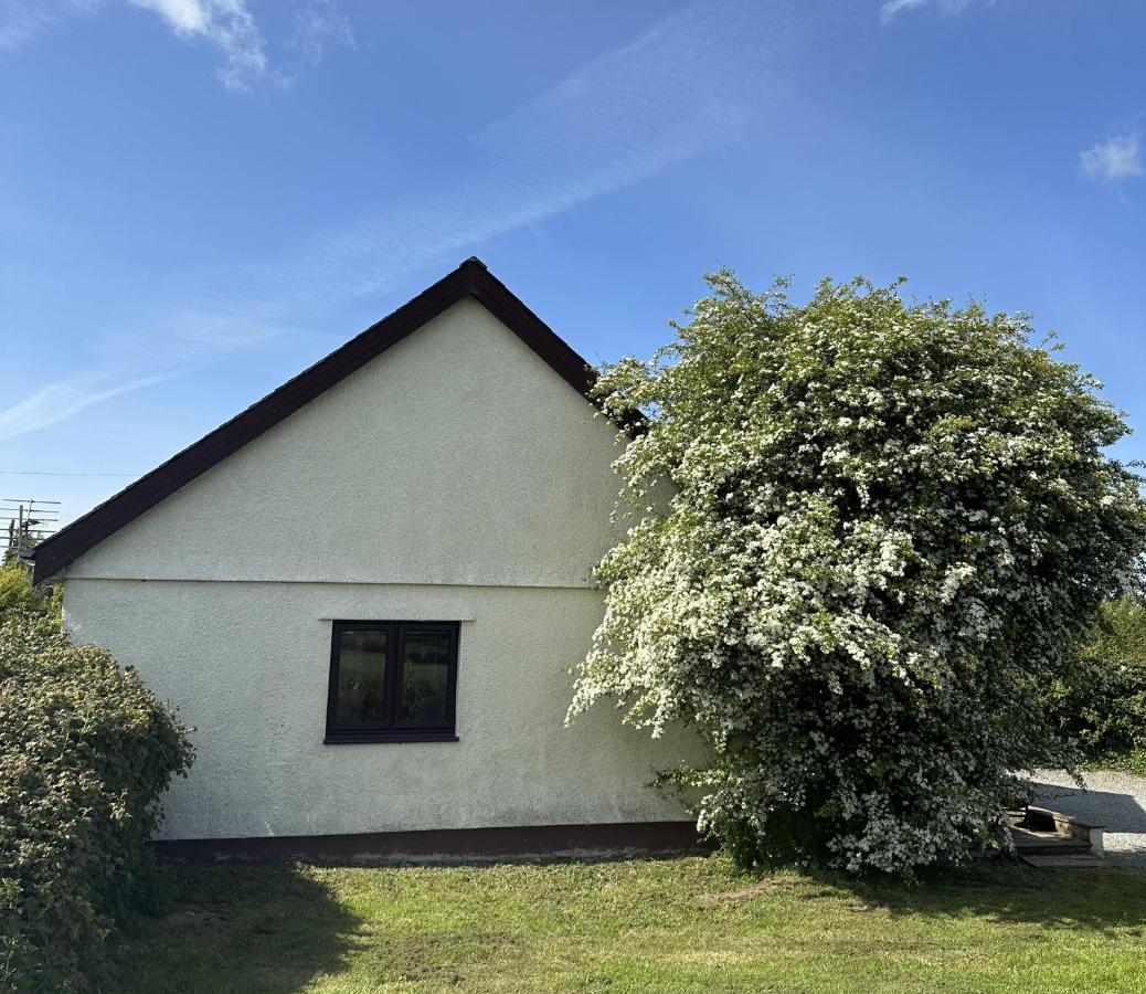 3 Bed Detached Cottage- Log Burner Mountain Views Beaumaris Extérieur photo